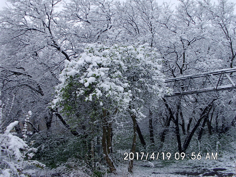 Przysypało śniegiem