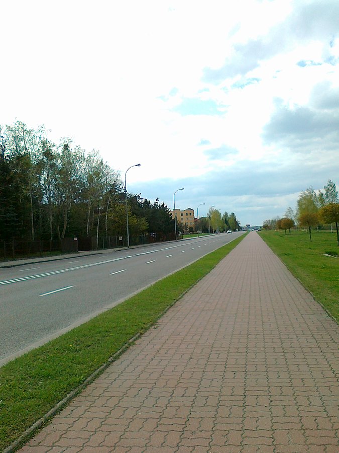Piastów Śląskich