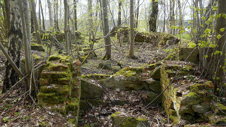 Toporów - ruiny mauzoleum Mullerów