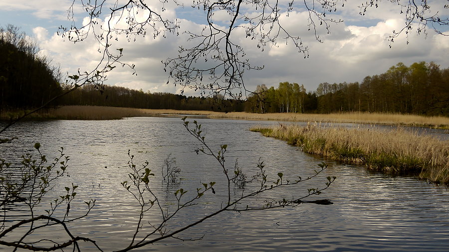 Rozlewiska rzeczki Ołobok
