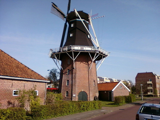 Wiatrak w Winschoten