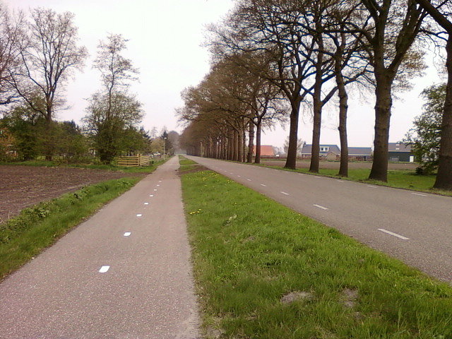 Holenderska droga rowerowa