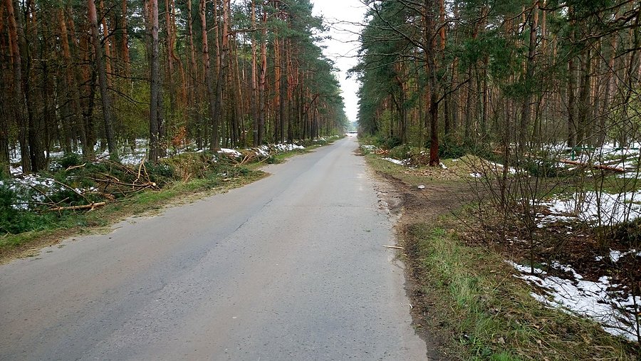 Spustoszenie po opadach śniegu