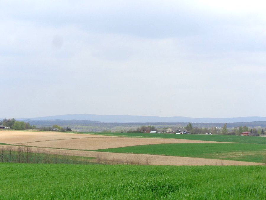 Widok na Góry Świętokrzyskie
