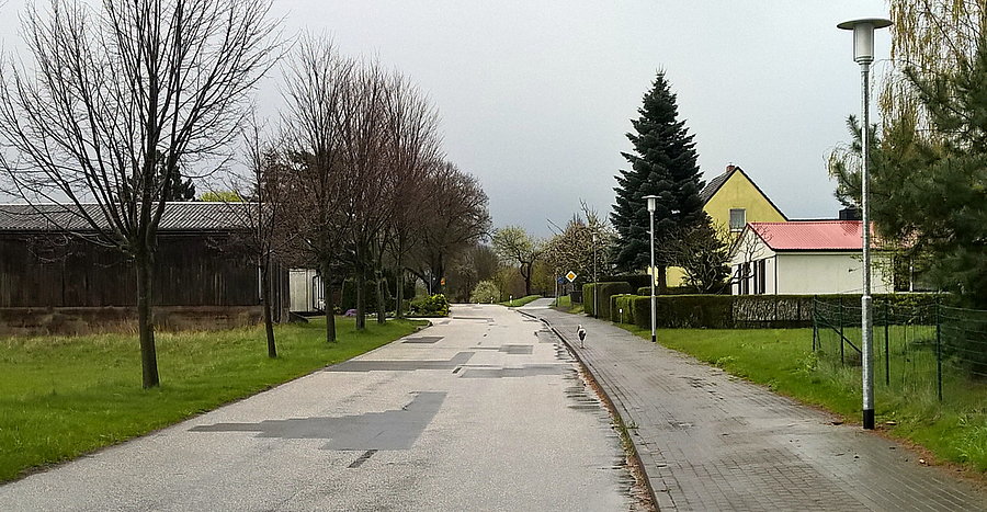 Bocian spaceruje ulicą w Blankensee