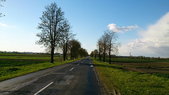Droga na Bełżyce