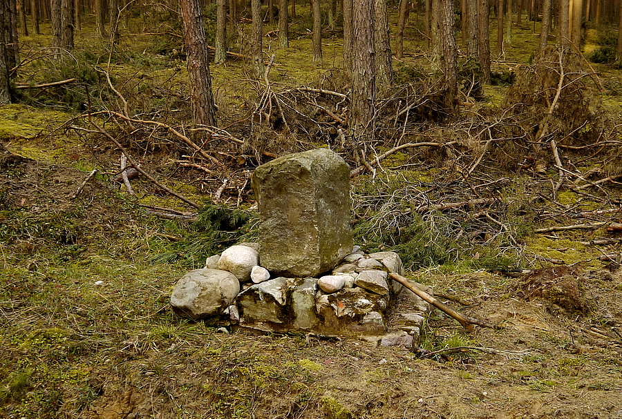 Kamień Friedels-Stein?