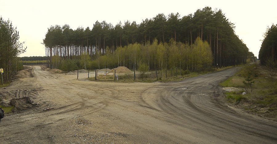 Leśny rozjazd