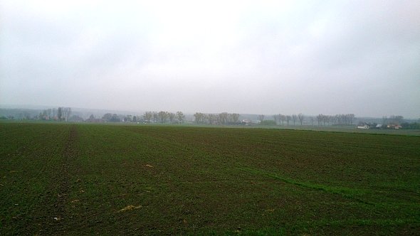 Deszczowe pola