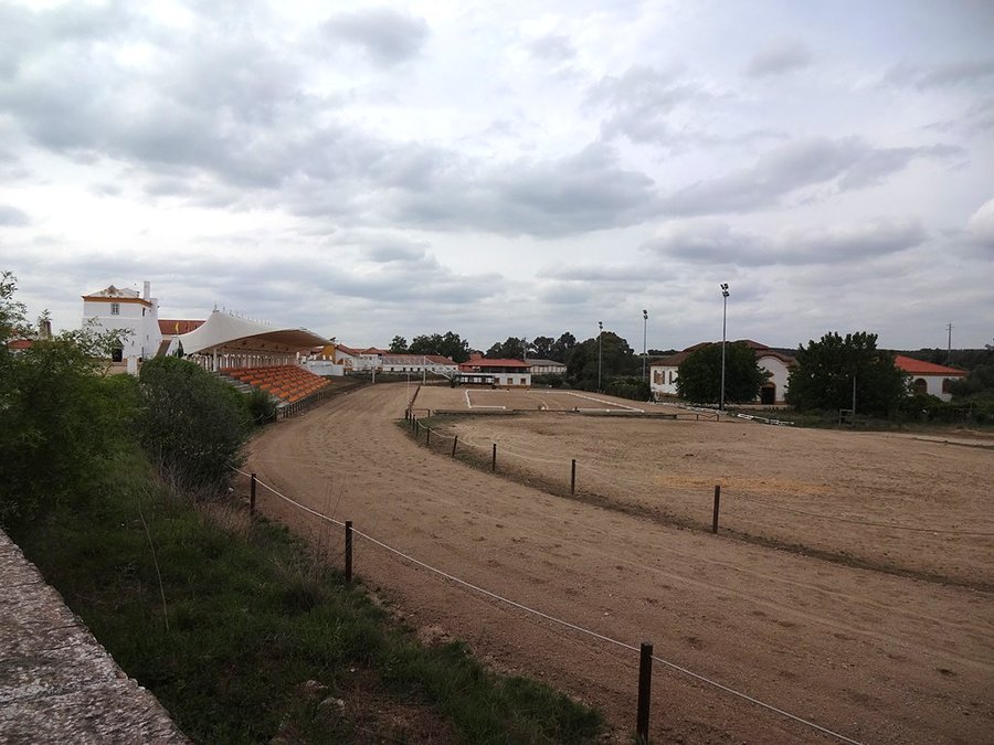 Coudelaria de Alter