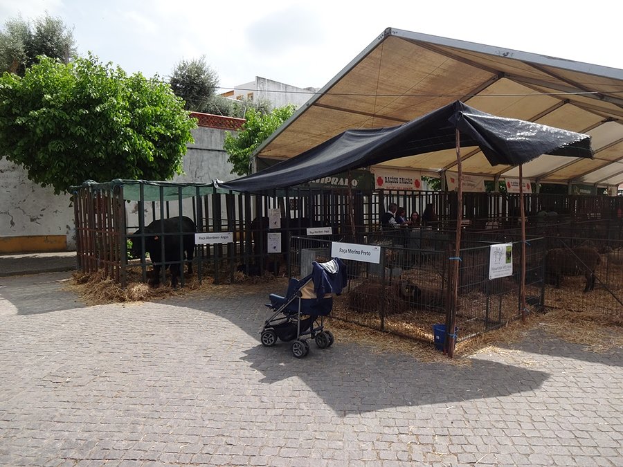Market