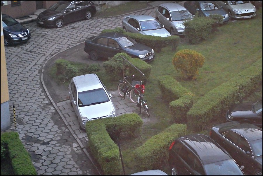 BUBki znów na dworze