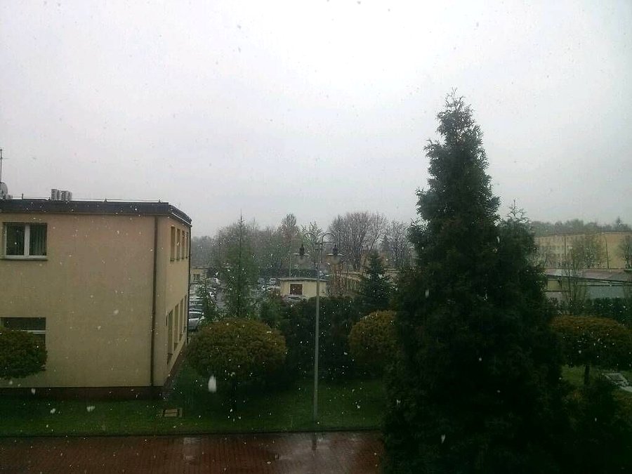 Pada śnieg, pada śnieg
