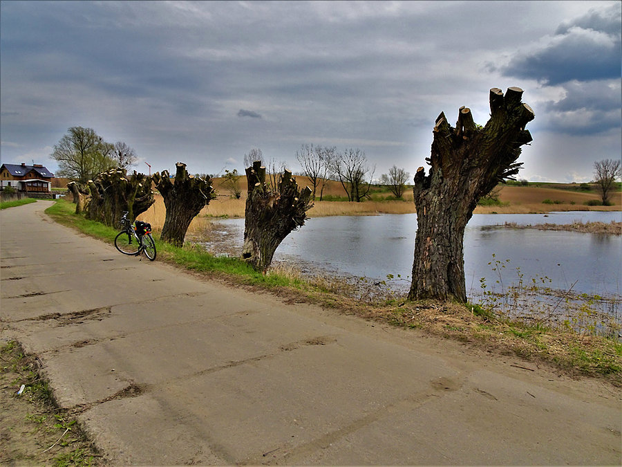 No rowerze - okolice Tczewa