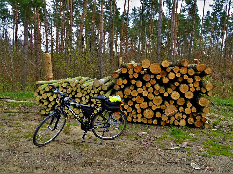 No rowerze - okolice Tczewa
