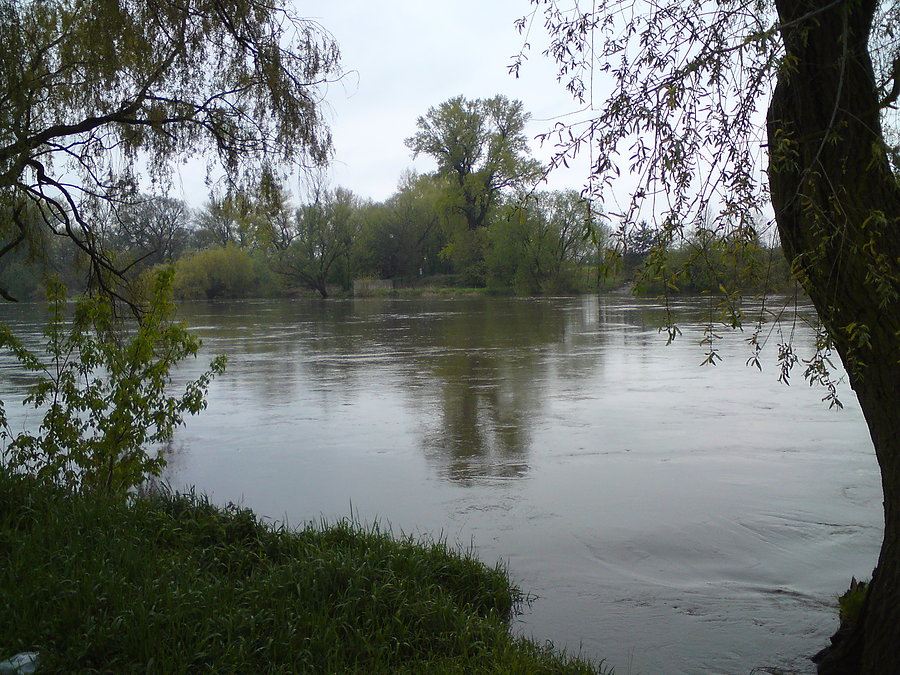Wezbrana Odra