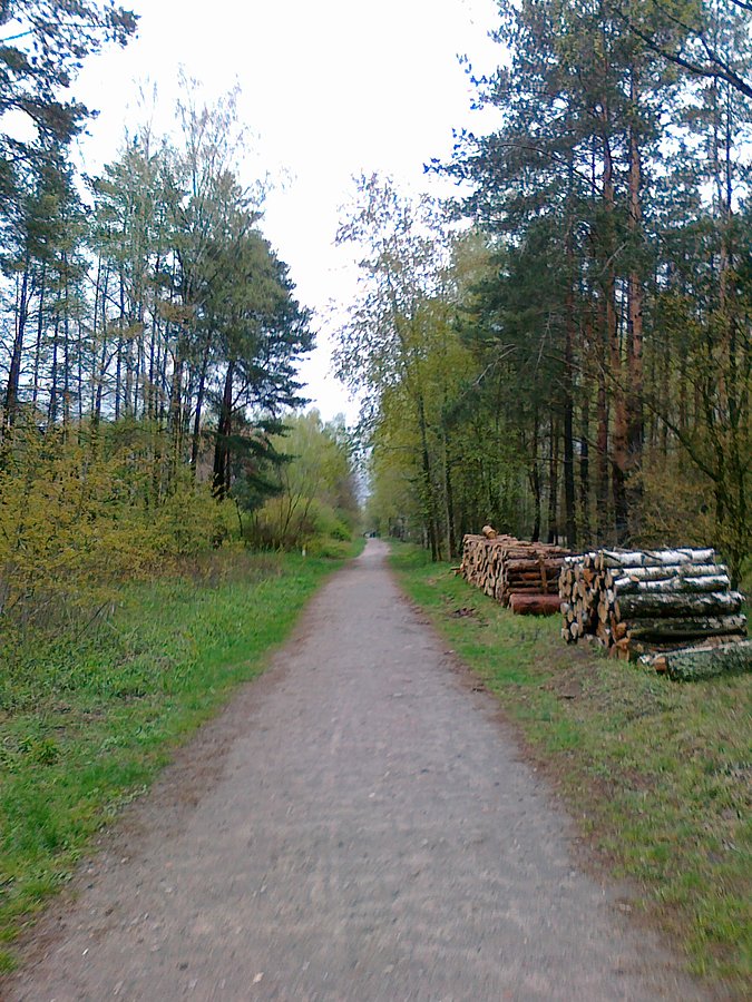 Przez las