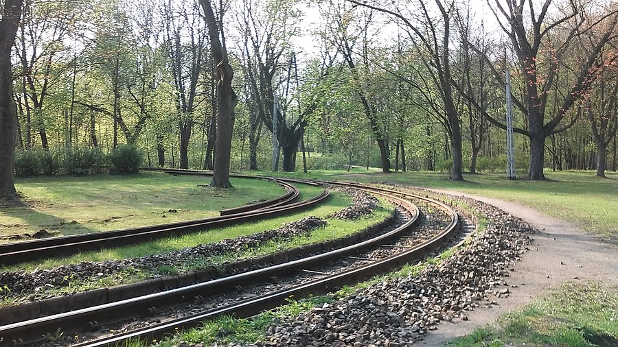 Łódź, Zdrowie
