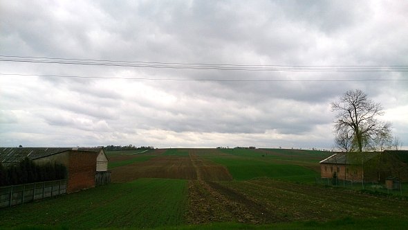 Pofałdowane pola w Rudniku