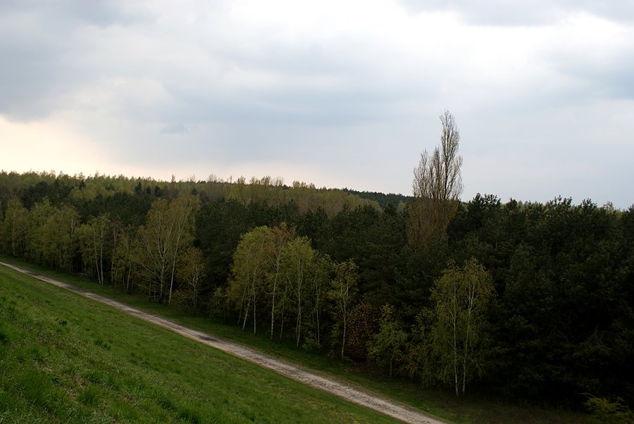 Patrząc w dół
