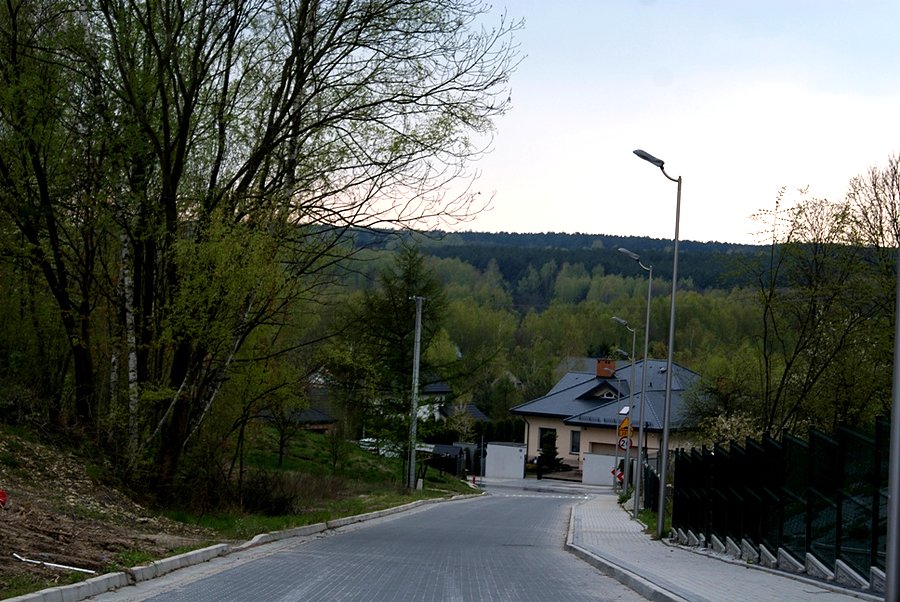 Nie tak dawno odkryty piękny widok na las, Dolinę Pilicy