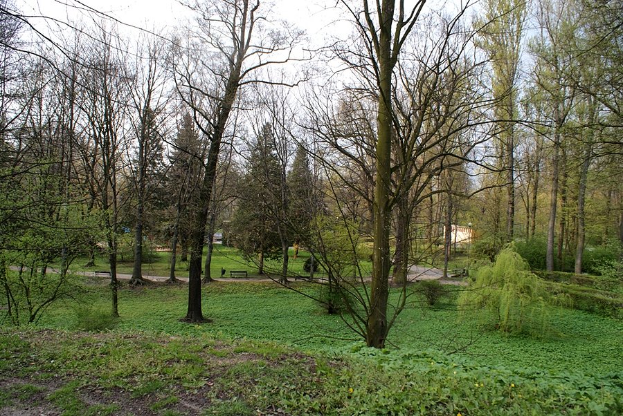 W Parku Miejskim