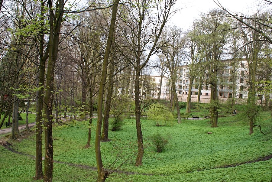 W Parku Miejskim