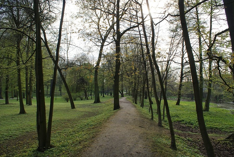 Naturalna ścieżka nad Wolbórką w Parku