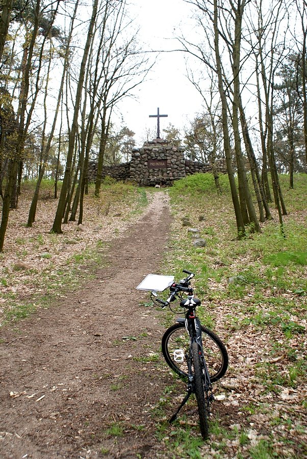 Pod krzyżem widnieje napis: PRO PATRIA