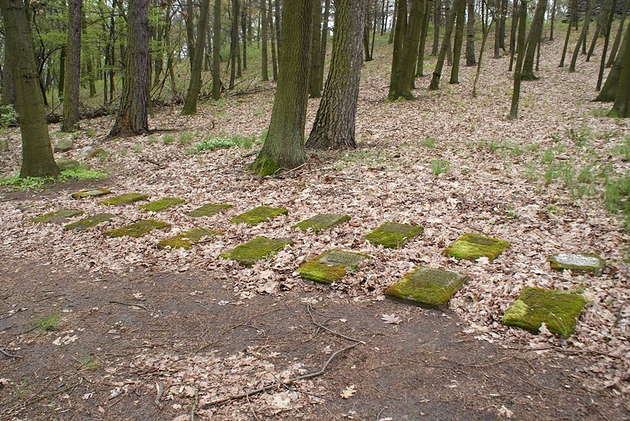 Następne groby w Starej Gadce