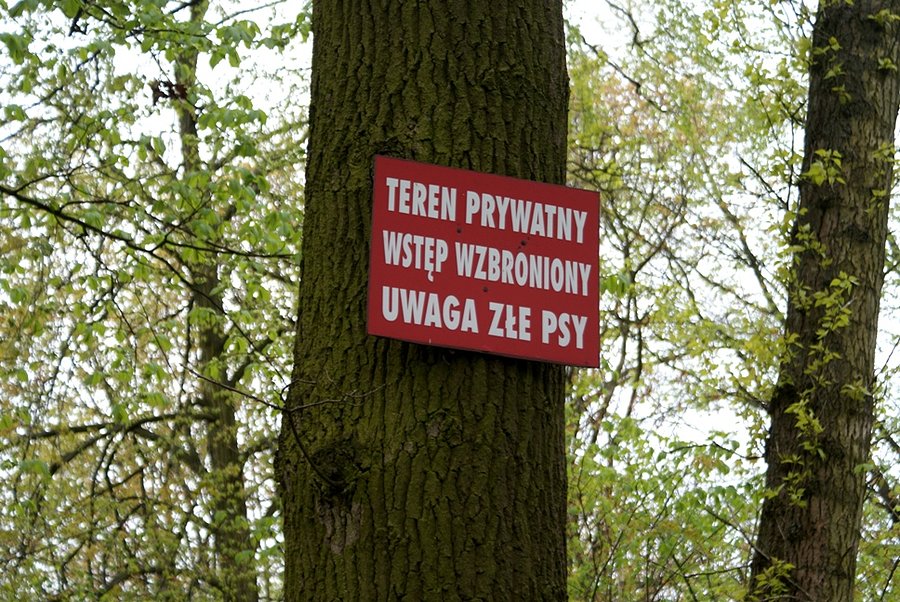 Teren pałacu Grohmanna jest trudno dostępny