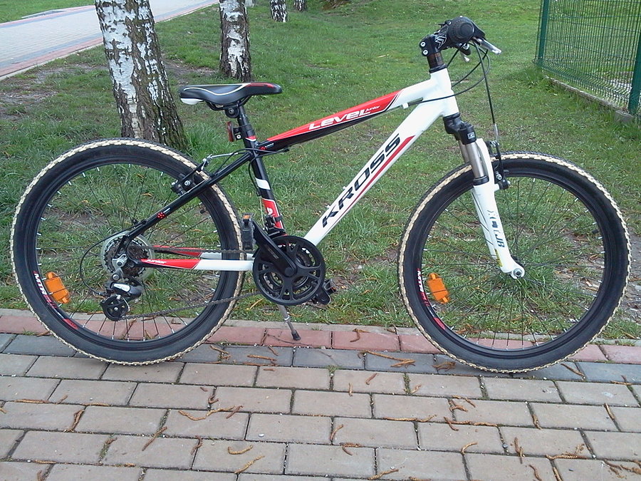 Kross dla Pawła