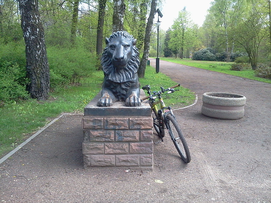 Park w Zabrzu