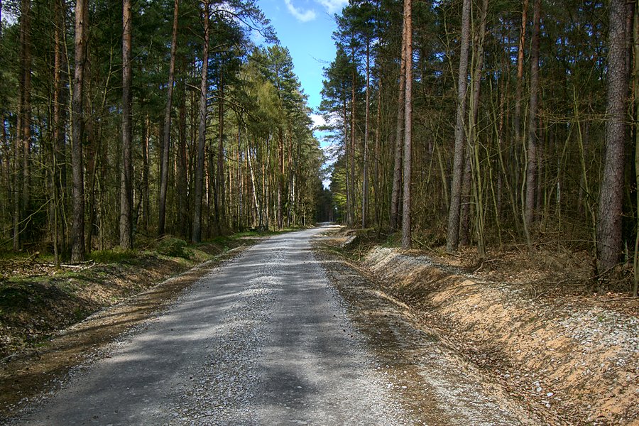 W drodze do Bącznika