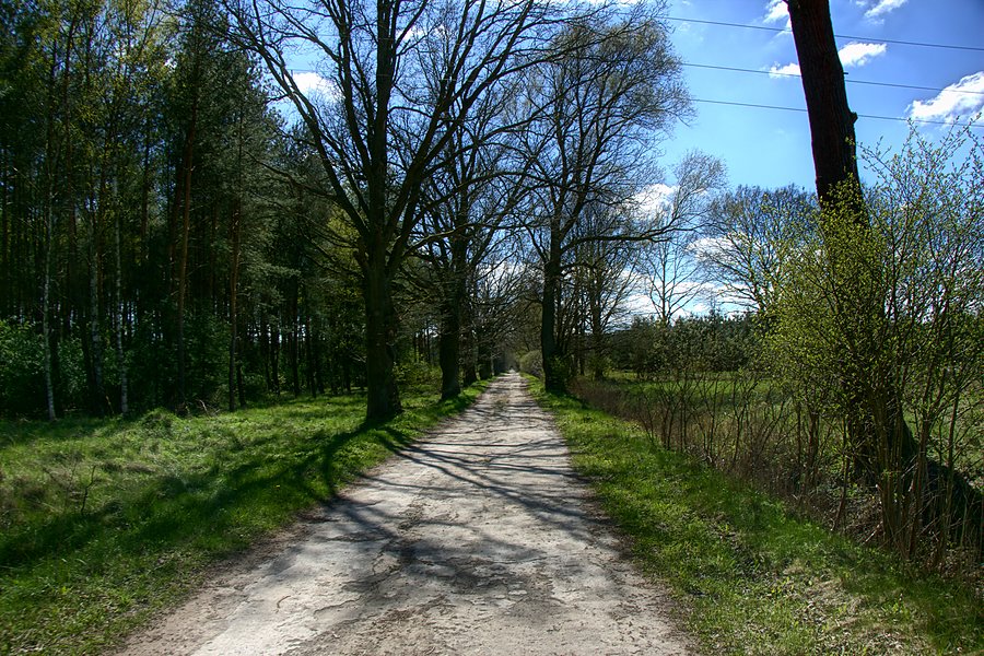 W drodze do Wielichówka