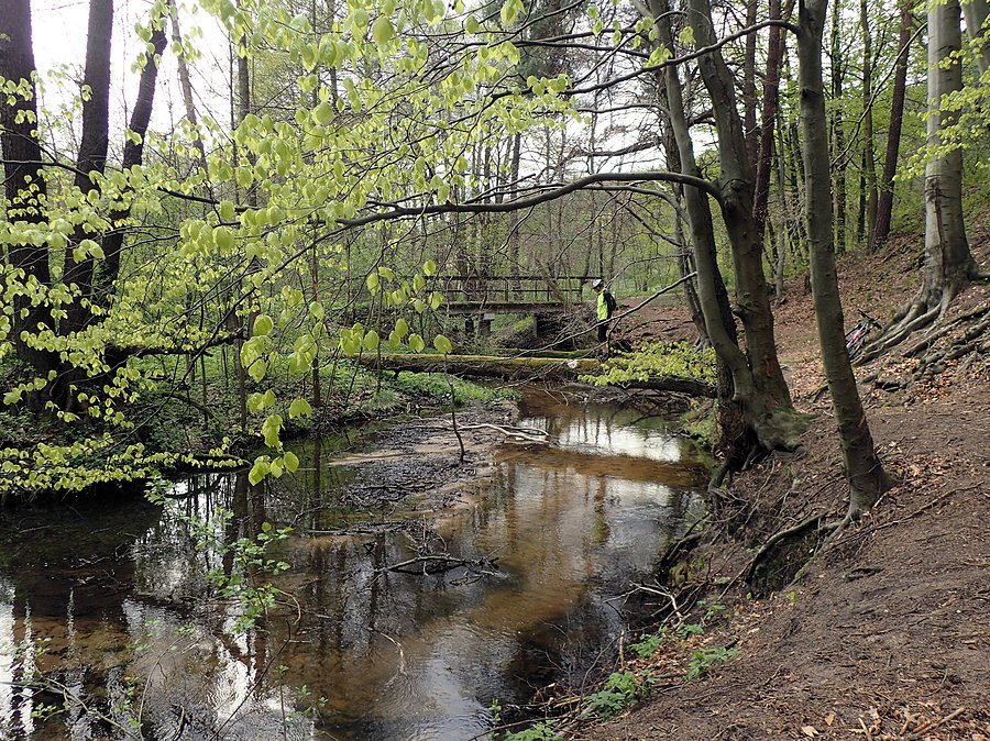 Krzysiek nad Wiercicą
