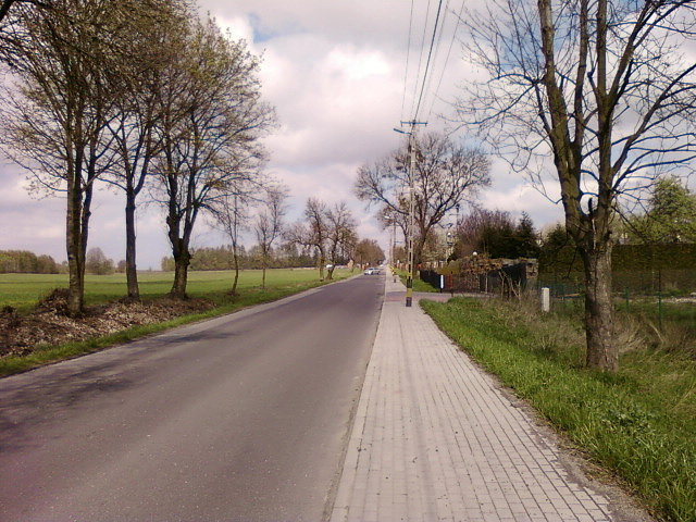 Wiączyńska