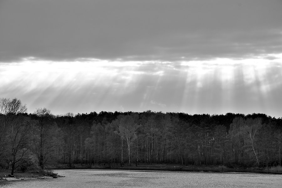 Prześwity nad lasem