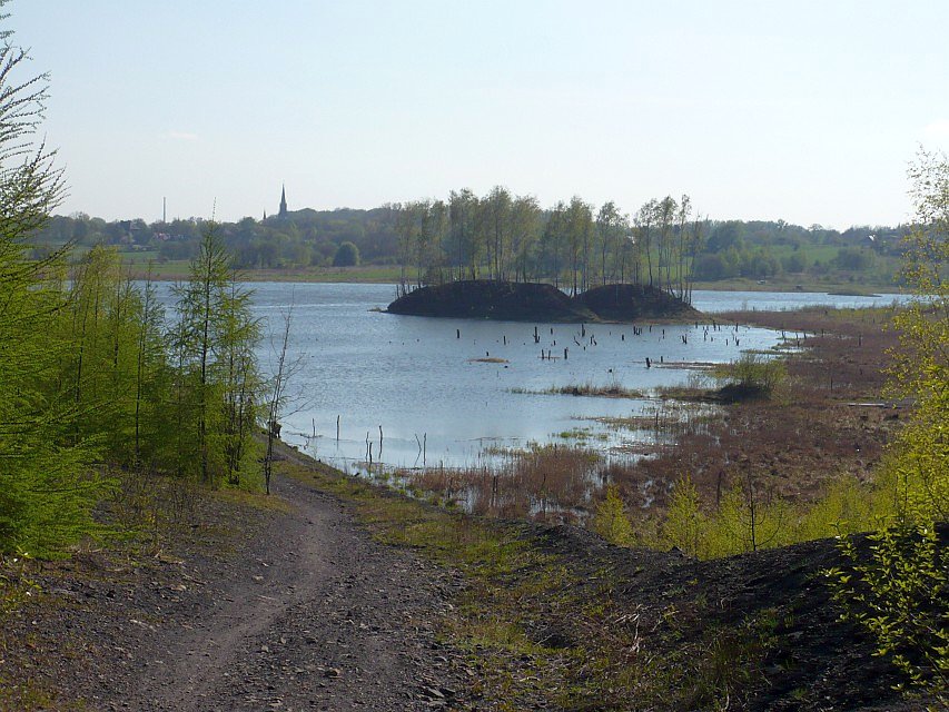 W dole staw