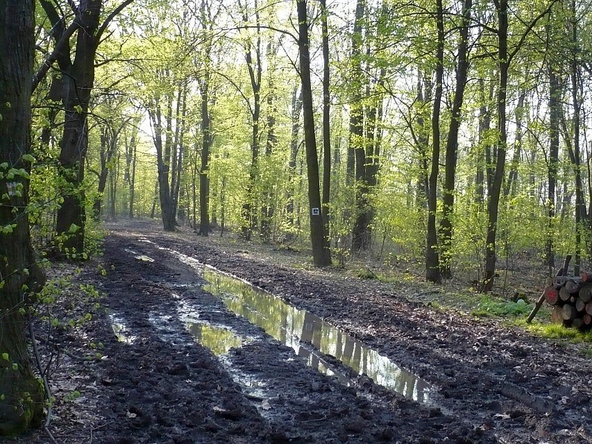 Zabrzański szlak :-(