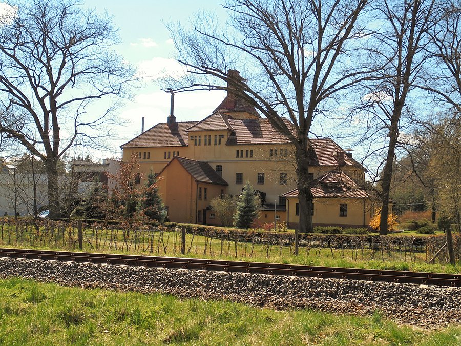Wyłuszczarnia szyszek w Klosnowie