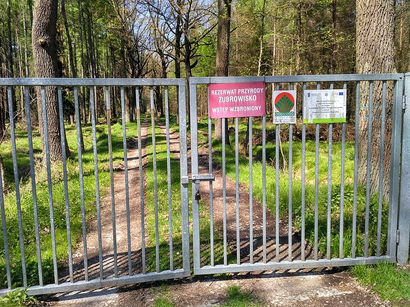 Rezerwat przyrody Żubrowisko w Jankowicach
