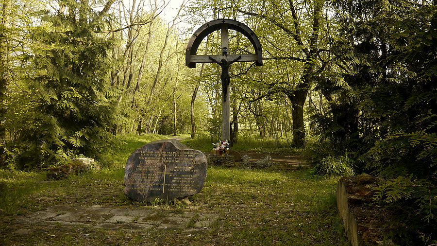Trzciel - ślady po kaplicy na miejscowym cmentarzu ewangelickim