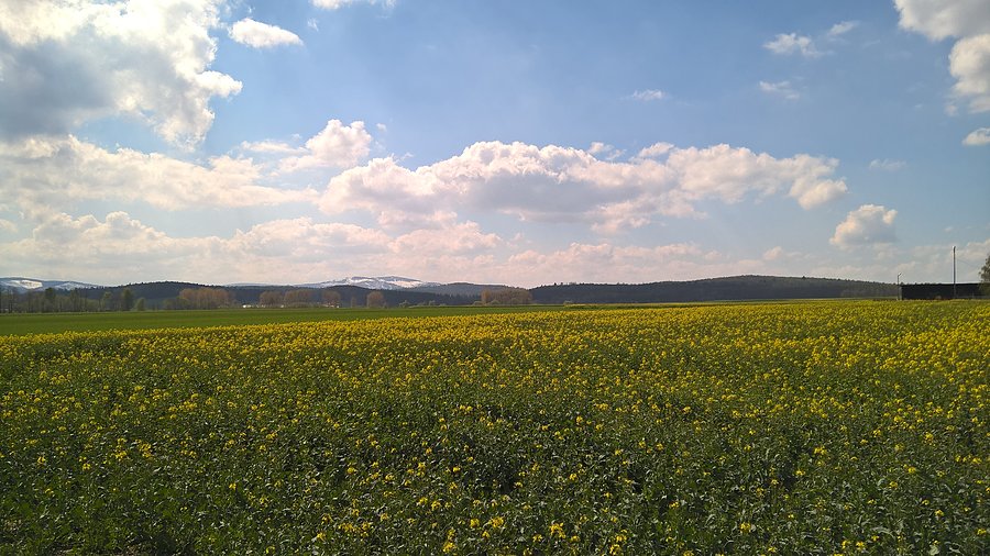 Widok na Góry Opawskie