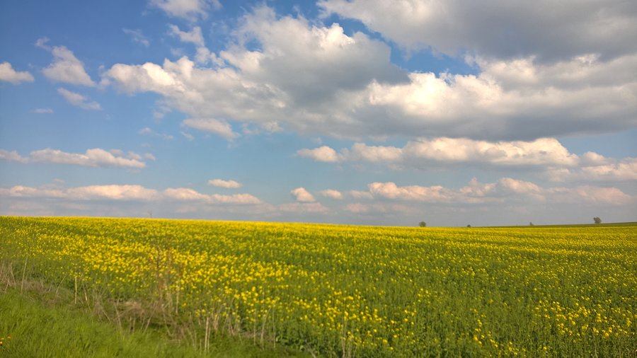 Widoki piękne