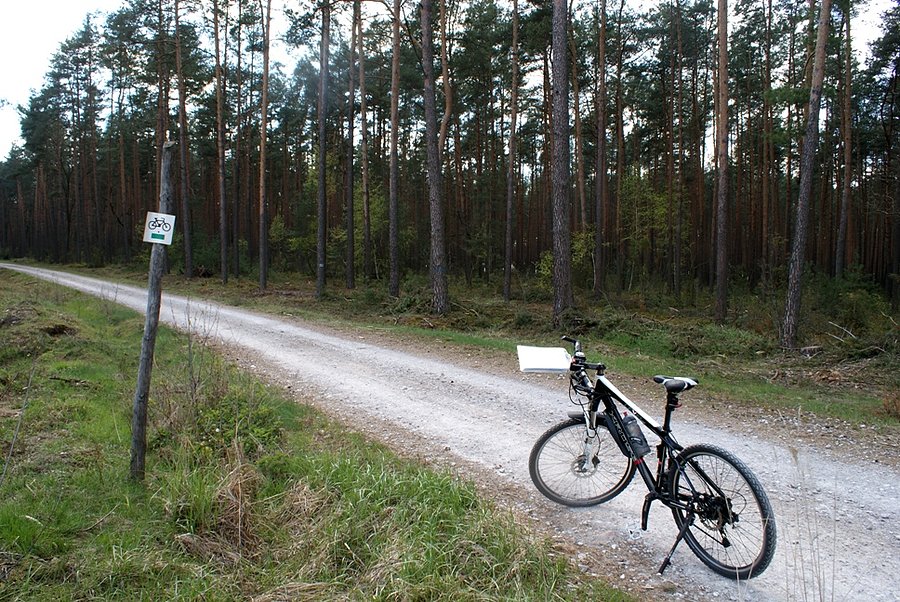 Na rowerowym zielonym, a jednocześnie niebieskim pieszym