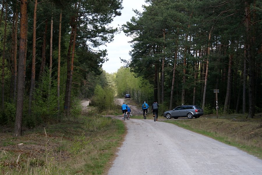 Jadą i jadą