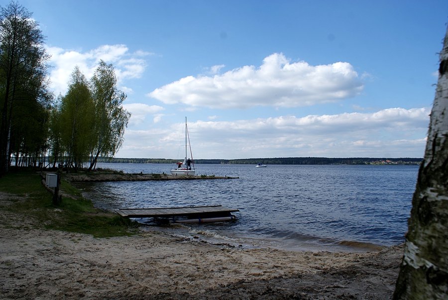 Nad brzegiem Jeziora Sulejowskiego