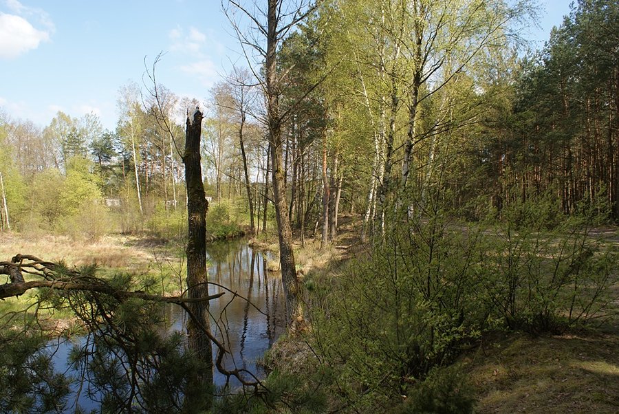 Jakaś rzeczka