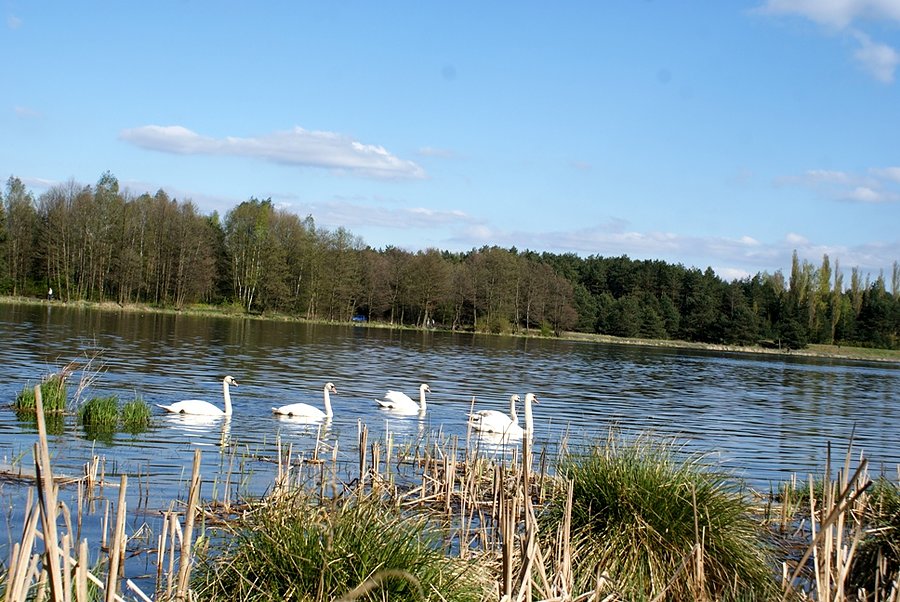 Szkoda, że nie wzięłam czegoś do jedzenia ;)